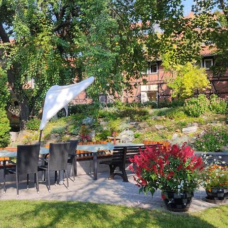 Apartment Im Gruenen Mit Anbindung Ans Zentrum 埃尔福特 外观 照片