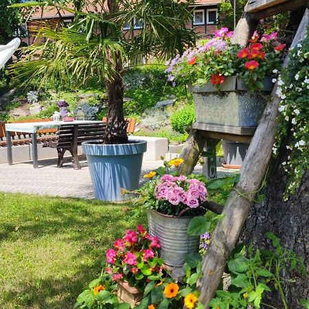 Apartment Im Gruenen Mit Anbindung Ans Zentrum 埃尔福特 外观 照片