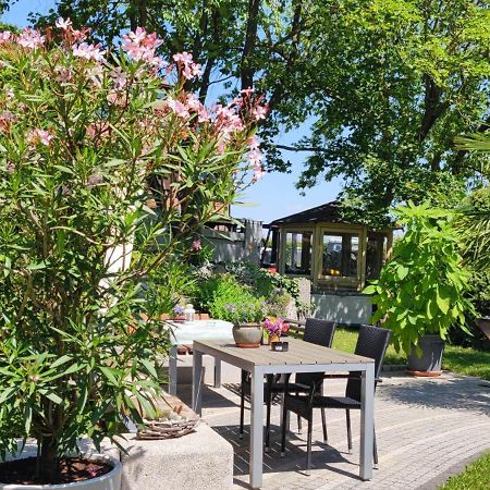 Apartment Im Gruenen Mit Anbindung Ans Zentrum 埃尔福特 外观 照片