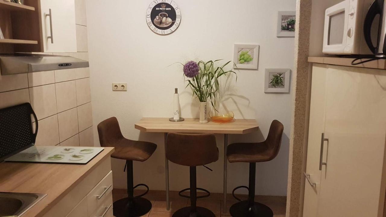 Apartment Im Gruenen Mit Anbindung Ans Zentrum 埃尔福特 外观 照片