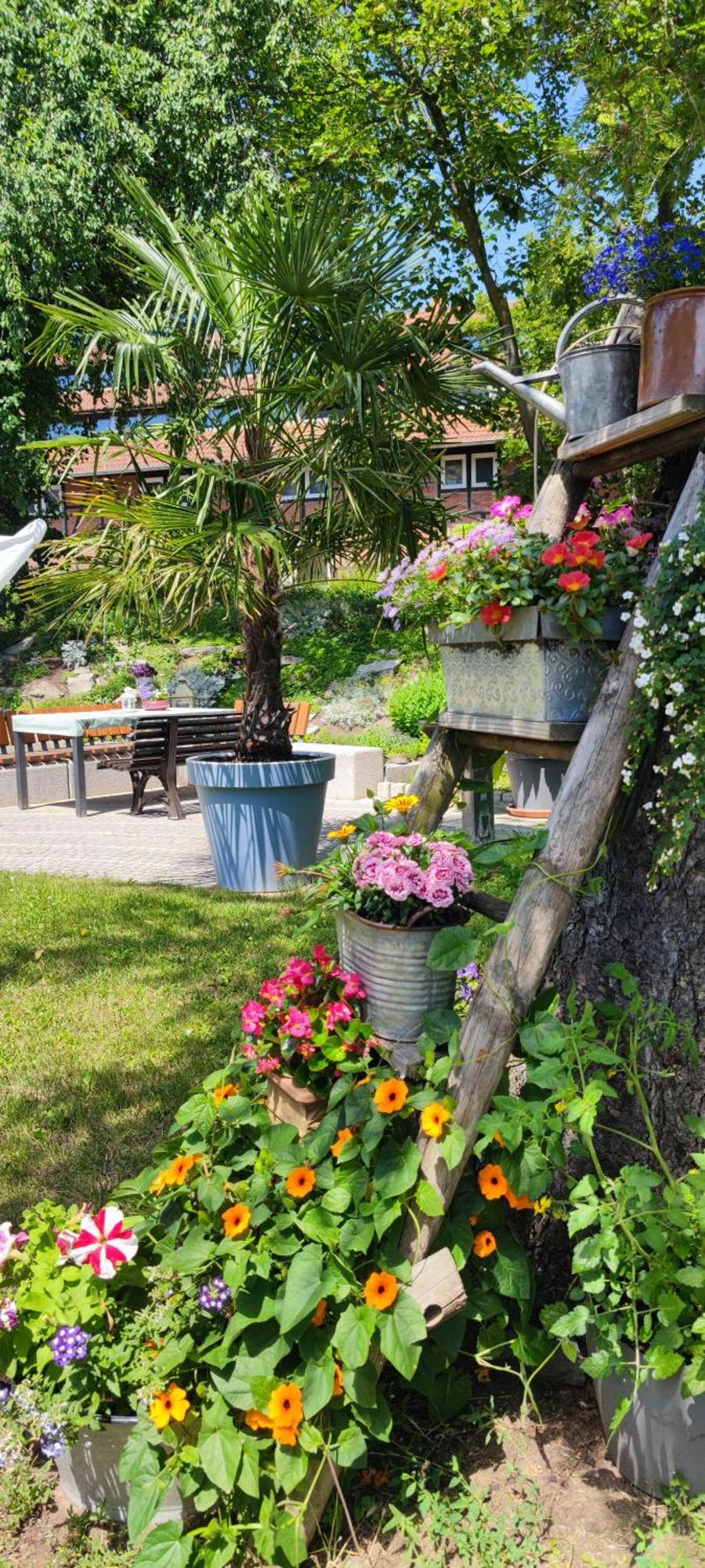 Apartment Im Gruenen Mit Anbindung Ans Zentrum 埃尔福特 外观 照片
