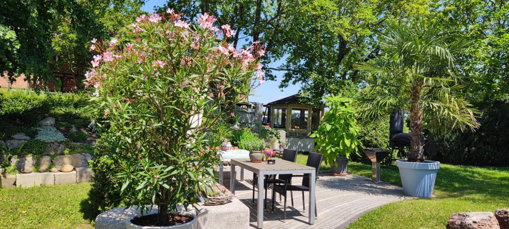 Apartment Im Gruenen Mit Anbindung Ans Zentrum 埃尔福特 外观 照片